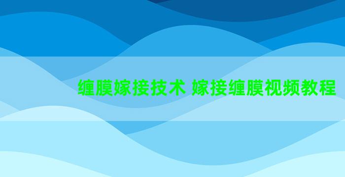 缠膜嫁接技术 嫁接缠膜视频教程